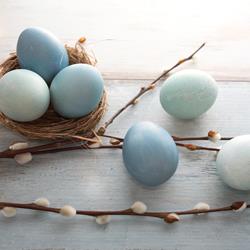 istock-1299472616